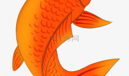 鲤鱼漫画,穿越时空的奇幻冒险之旅